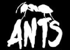 ANTS